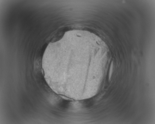 X0000081390425200702090043