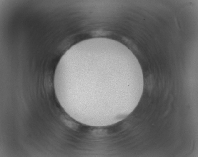 X0000081390426200702090043