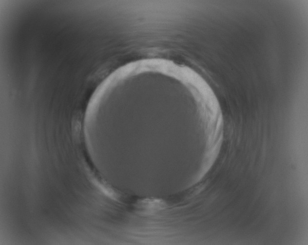 X0000081390427200702090043