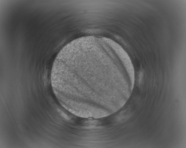 X0000081390428200702090043