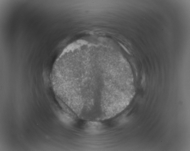 X0000081390429200702090043