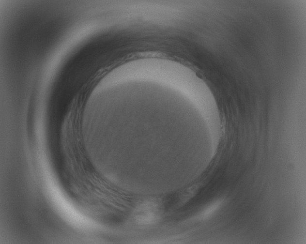 X0000081390431200702090042