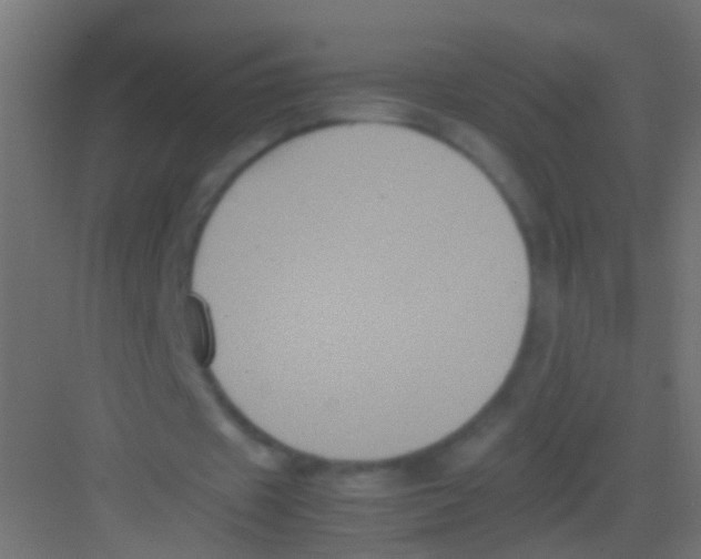 X0000081390433200702090042