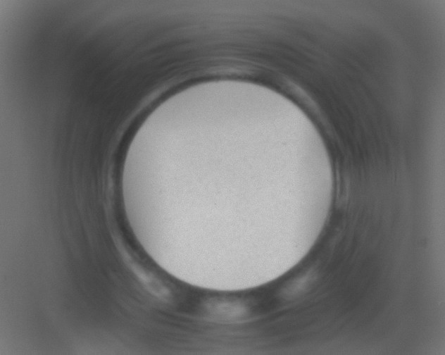 X0000081390435200702090042