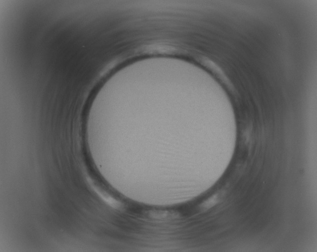 X0000081390439200702090042