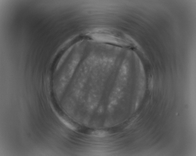 X0000081390444200702090042