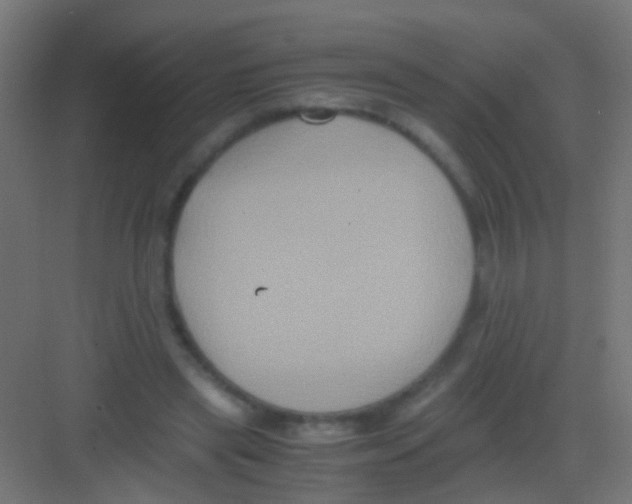 X0000081390445200702090042