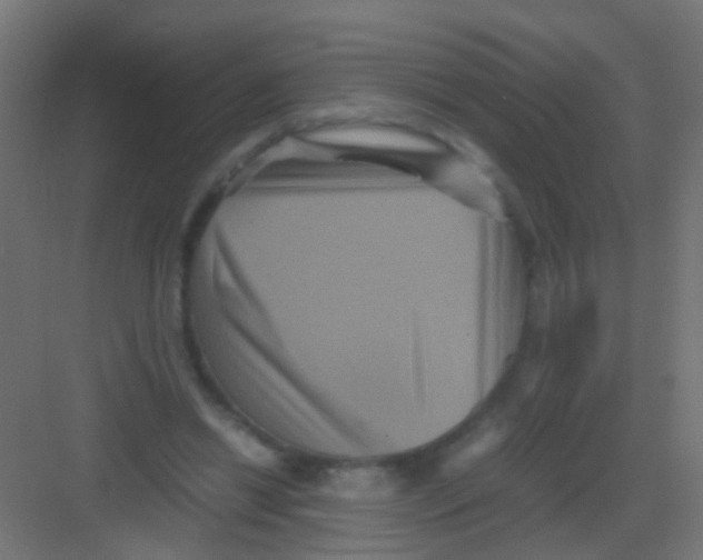 X0000081390446200702090042