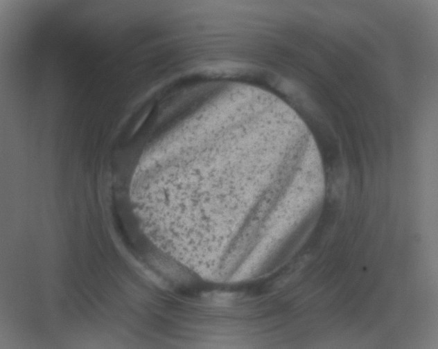 X0000081390448200702090042