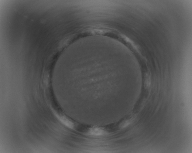 X0000081390451200702090042