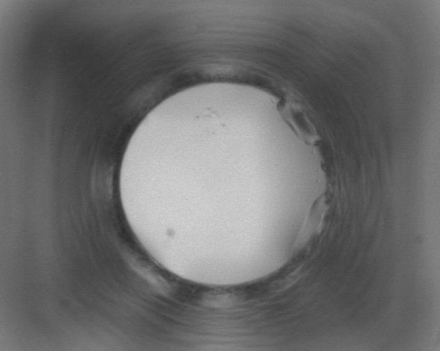 X0000081390454200702090042