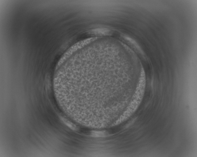 X0000081390457200702090042