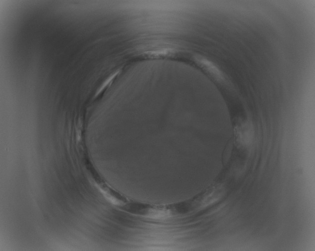 X0000081390458200702090042