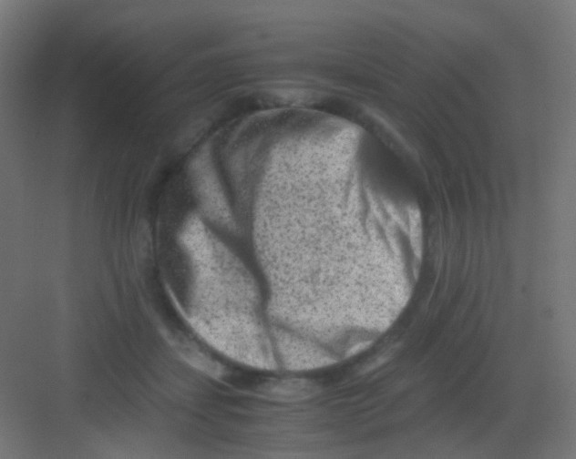 X0000081390459200702090042