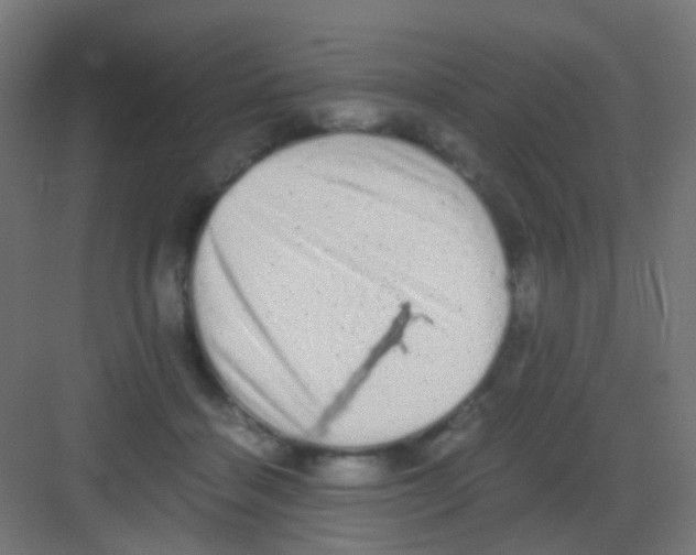 X0000081390460200702090042