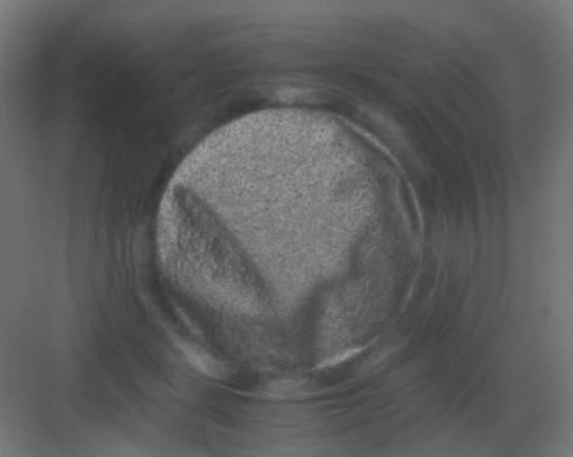 X0000081390461200702090042