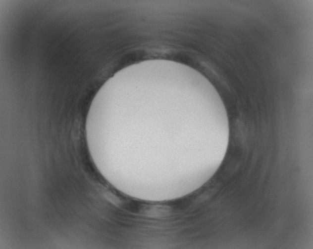 X0000081390463200702090042