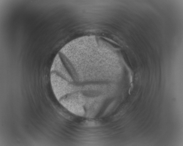 X0000081390464200702090042