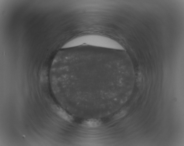 X0000081390466200702090042