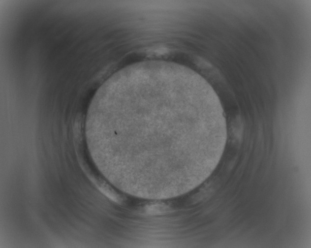 X0000081390468200702090042