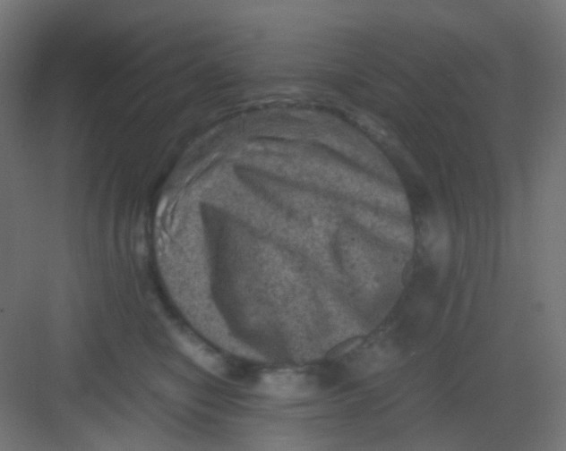 X0000081390470200702090042