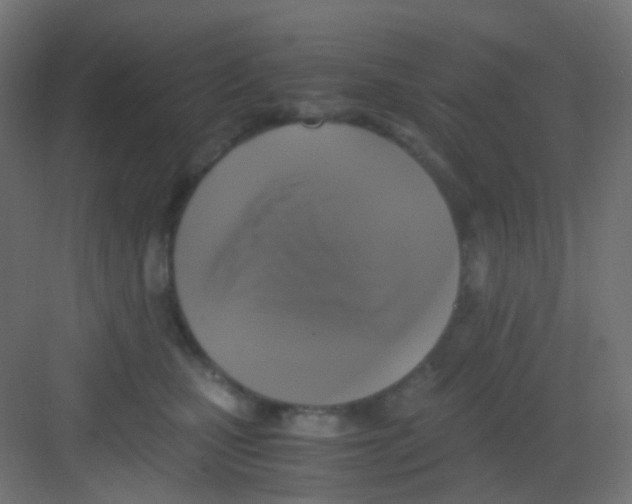 X0000081390471200702090042