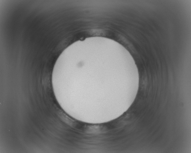 X0000081390473200702090042