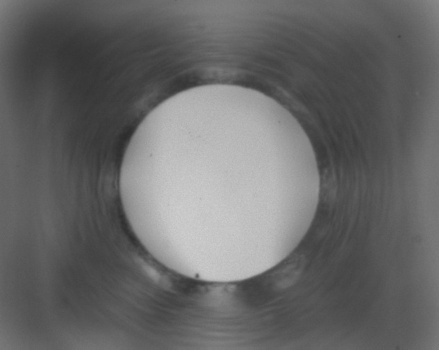 X0000081390474200702090042