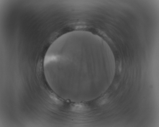 X0000081390475200702090042