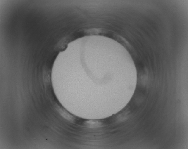 X0000081390477200702090042