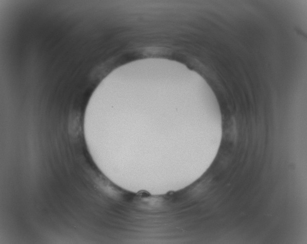 X0000081390478200702090042