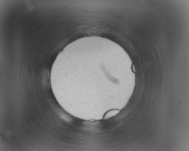 X0000081390480200702090042