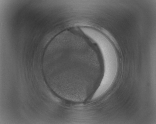 X0000081390481200702090042