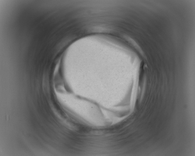 X0000081390482200702090042