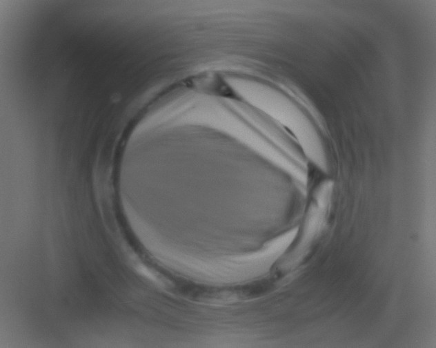 X0000081390485200702090042