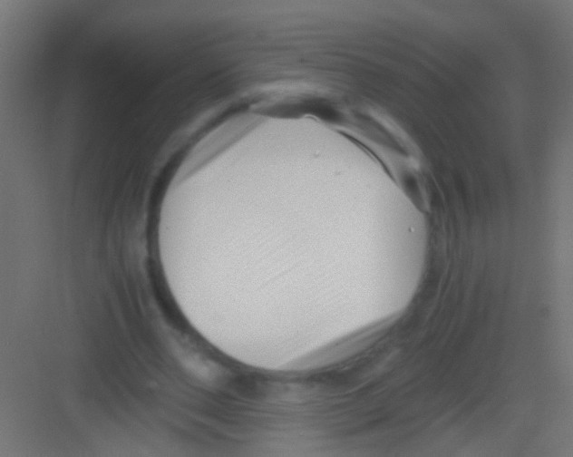 X0000081390486200702090042