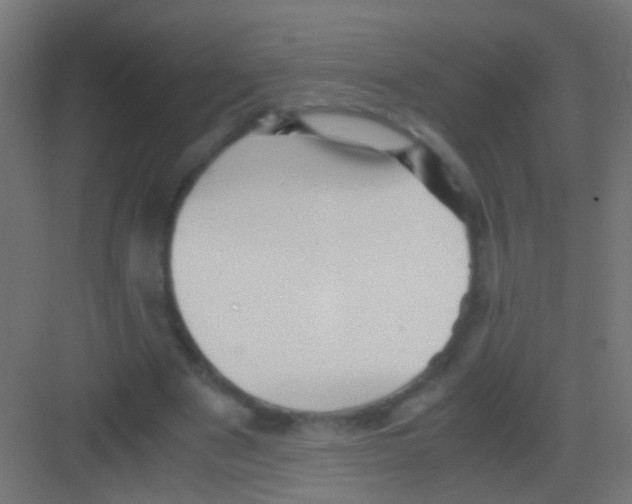 X0000081390489200702090042