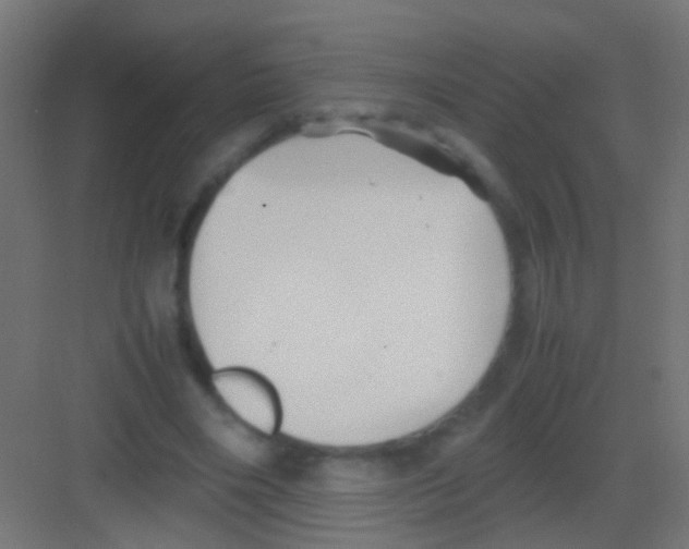 X0000081390490200702090041