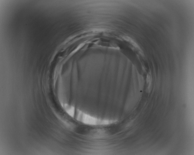 X0000081390492200702090041