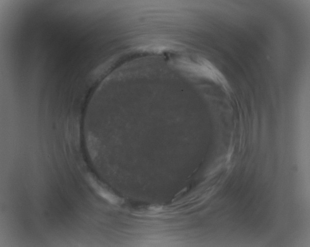 X0000081390493200702090041