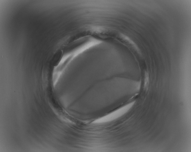 X0000081390496200702090041