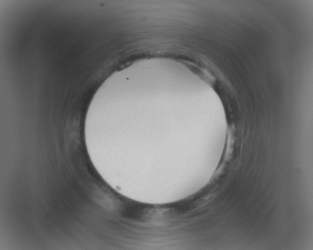 X0000081390497200702090041