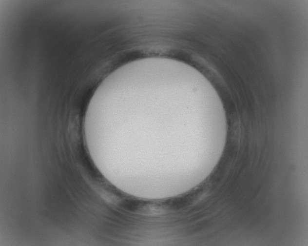 X0000081390498200702090041