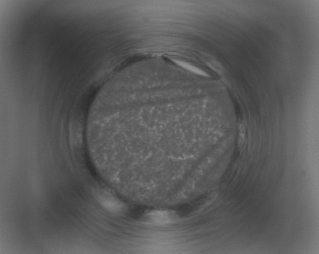 X0000081390499200702090041