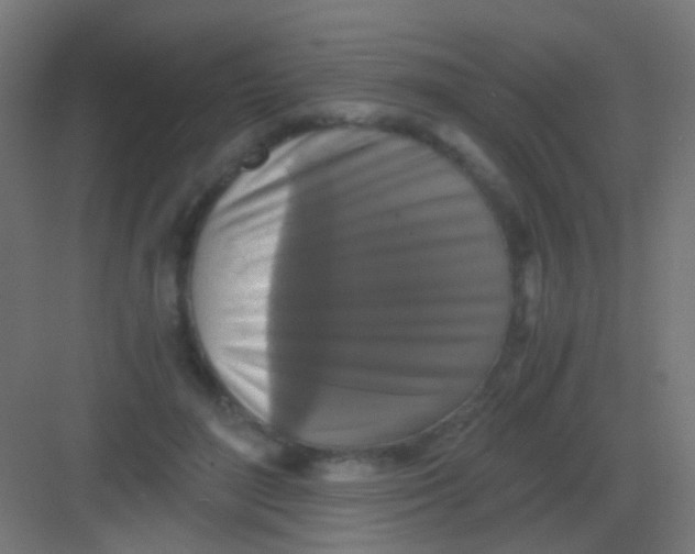 X0000081390500200702090041