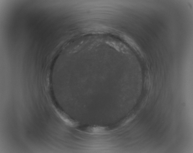 X0000081390501200702090041