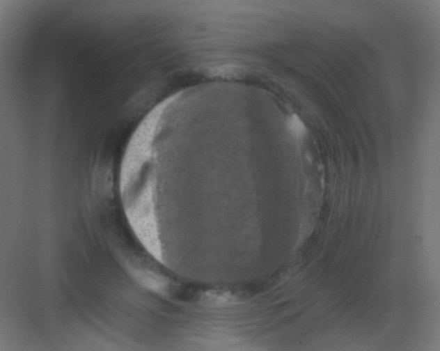 X0000081390502200702090041