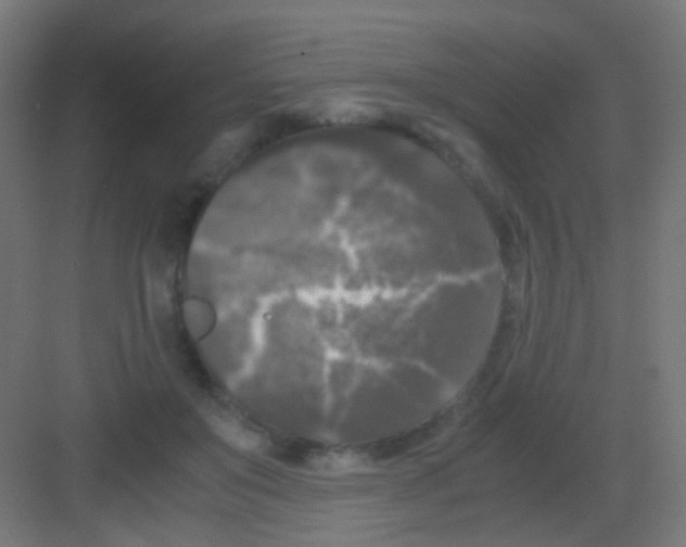 X0000081390503200702090041