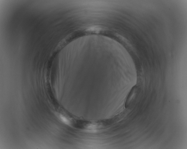 X0000081390504200702090041