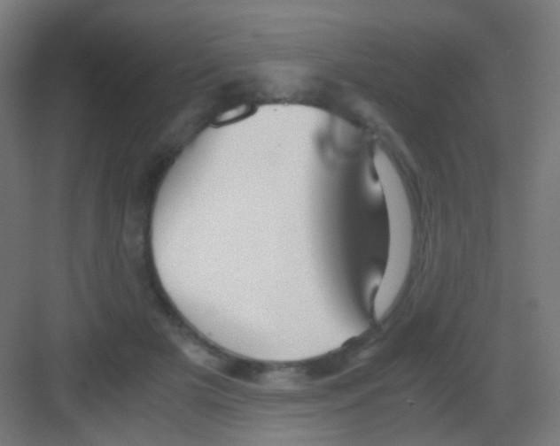 X0000081390505200702090041